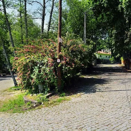 Casa De Travassos Semesterbostad Luzim